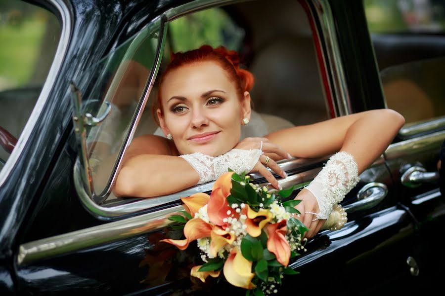 Photographe de mariage Vladimir Starkov (vstarkov). Photo du 22 janvier 2014