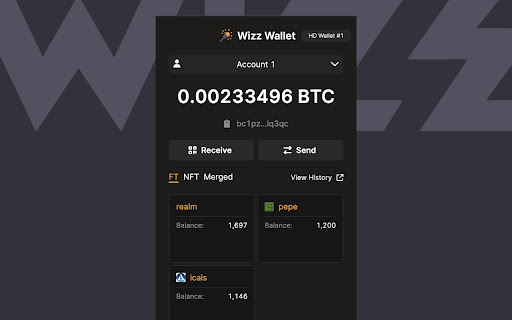 Wizz Wallet