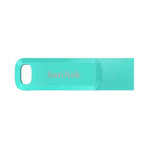 USB 64GB SANDISK SDDDC3-064G-G46G