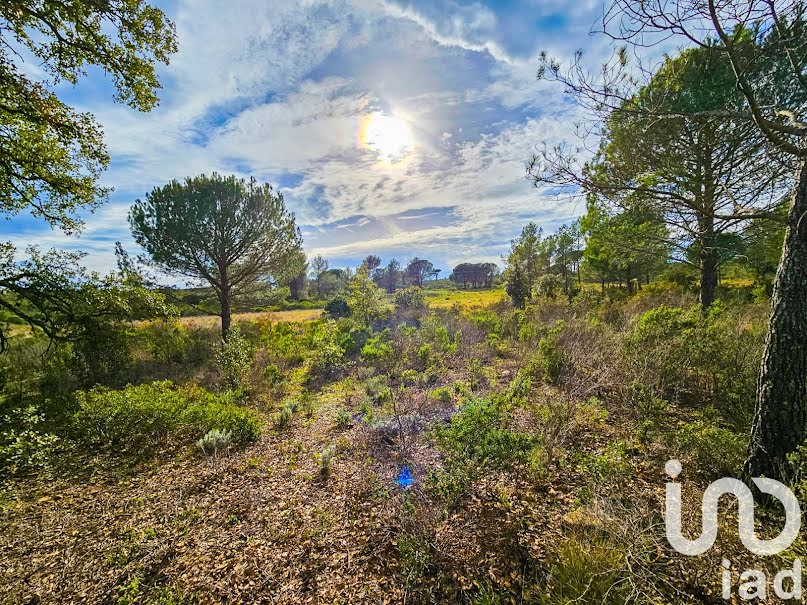 Vente terrain  8555 m² à Puget-sur-Argens (83480), 68 000 €