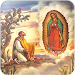 Virgin Of Guadalupe Beautiful Pictures APK