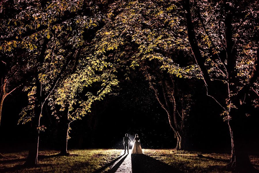 Photographe de mariage Dominic Lemoine (dominiclemoine). Photo du 3 mai 2019