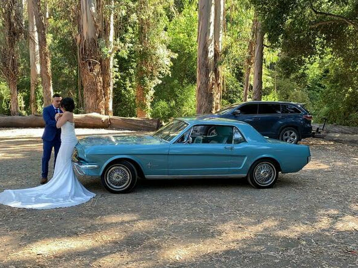 Picture of 1966 Ford Mustang for weddings, photo-shooting and modeling