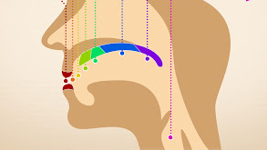 Meditations on M, D, X, and T thumbnail