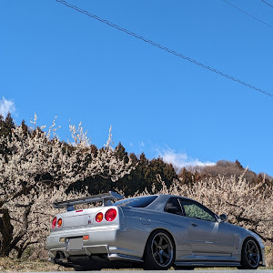 スカイライン GT-R BNR34