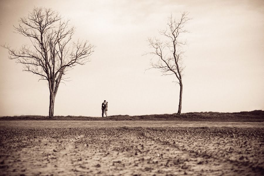 Photographe de mariage Aleksey Zharkov (zharkovphoto). Photo du 12 avril 2018