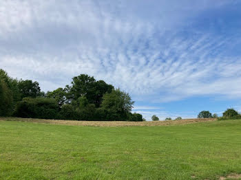 terrain à Albussac (19)