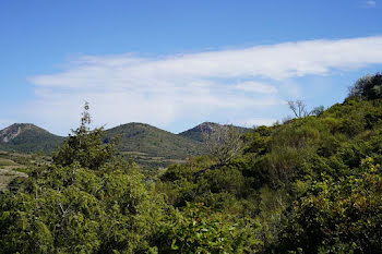 terrain à Cascastel-des-Corbières (11)