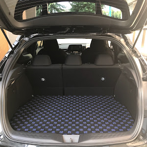C-HR ZYX10