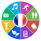 Item logo image for French Lessons