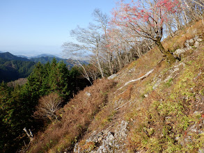 踏み跡を進む