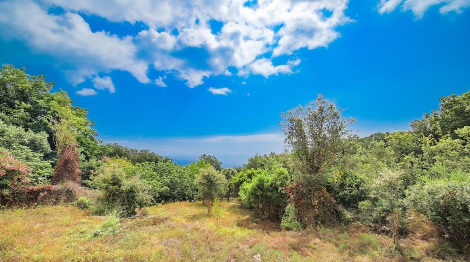 Vente terrain  800 m² à Santa-Maria-di-Lota (20200), 205 000 €