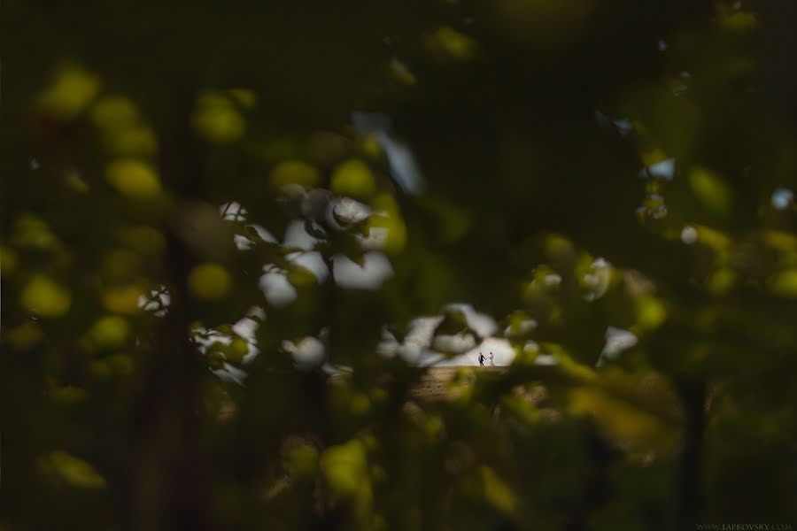 Wedding photographer Sergey Lapkovsky (lapkovsky). Photo of 2 September 2013