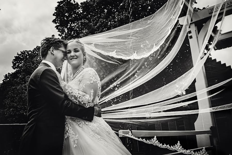 Fotografo di matrimoni Helen Navajas (helennavajas). Foto del 25 giugno 2019