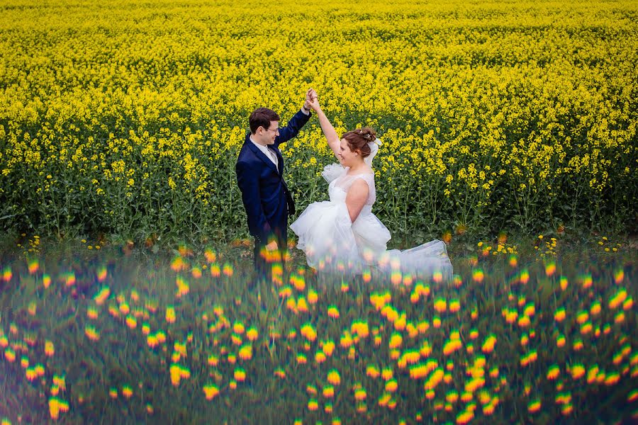 Fotógrafo de bodas Ana Paula Lobato (anapaulalobato). Foto del 6 de enero 2021