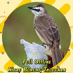 Cover Image of Herunterladen MP3 Kicau Burung Trucukan Gacor Ngropel 3.0 APK