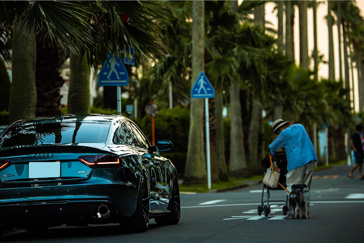 A5 スポーツバックのAudi・sportback・Audiと美しい風景・逗子マリーナに関するカスタム事例の投稿画像9枚目