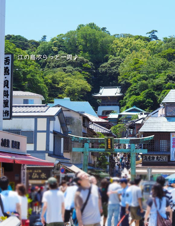 江の島 仲見世