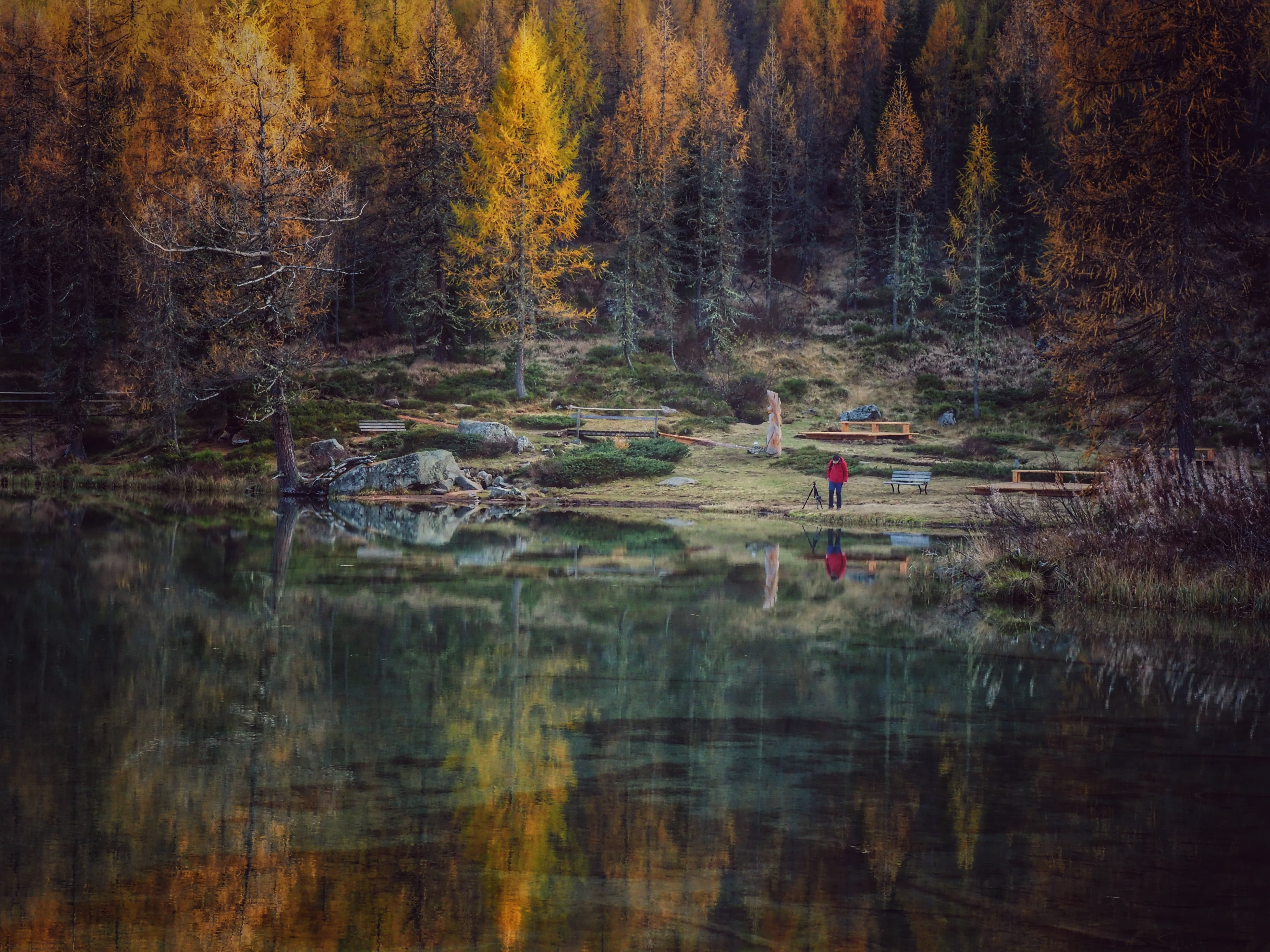 Riflettendo in riva al lago 