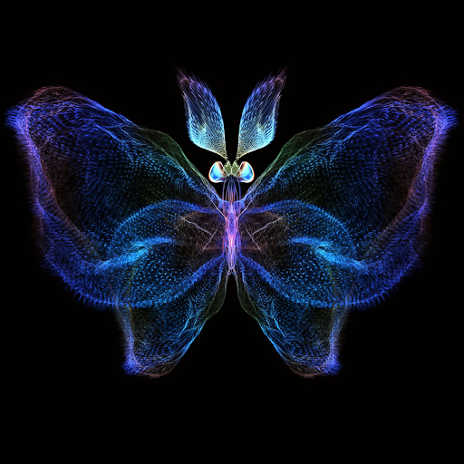 Butterfly - YouTube Music