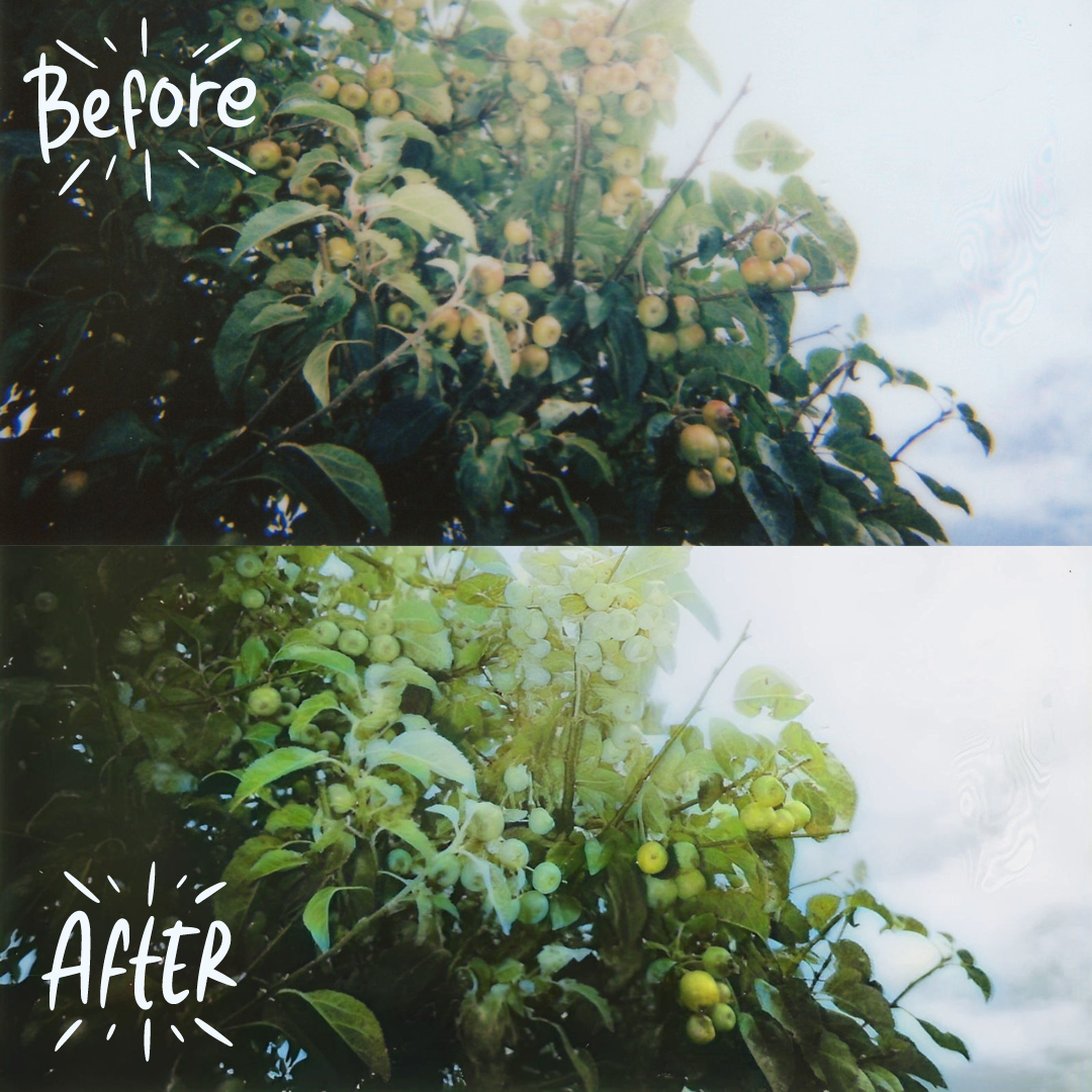 Color Correction made from Face26