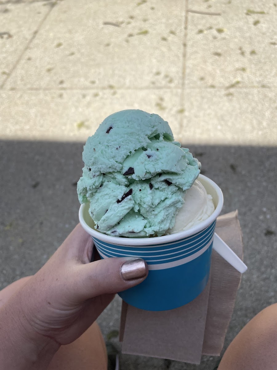 Mint chip + Vanilla