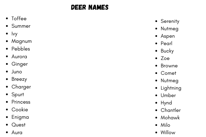 Pet Deer Names