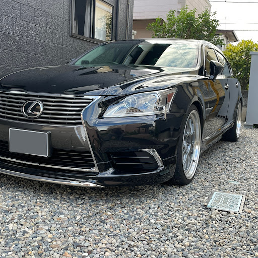 のらいぬのプロフィール画像