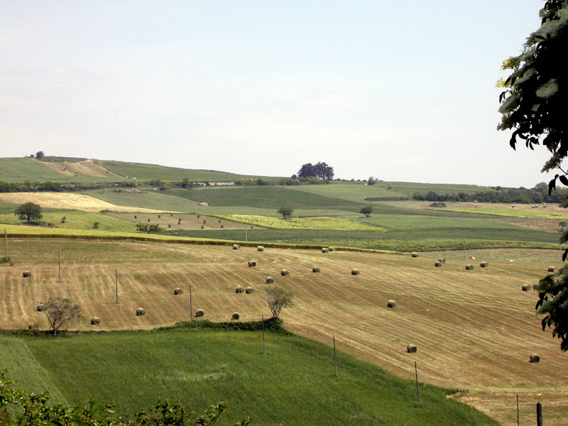 campagna molisana di rita18