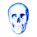 Cover Image of 下载 Anatomy Quiz 3.3.2 APK