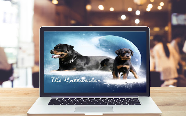 Rottweiler HD Wallpapers Dog and Puppy Theme