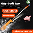 Roi Đuổi Heo Bằng Điện 30000Mah Dn03