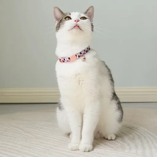 Colorful Pet Pattern Small Dog And Cat Collar With Bell Adjustable Bowties Dog Bow Ties DIY Band Pet Supplies Puppy Acce