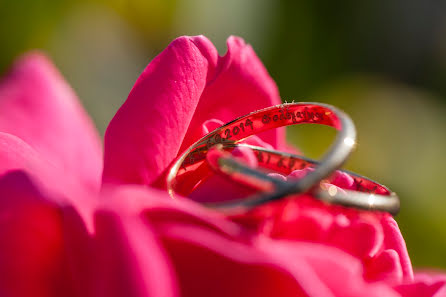 Wedding photographer Pantelis Ladas (panteliz). Photo of 12 February 2020