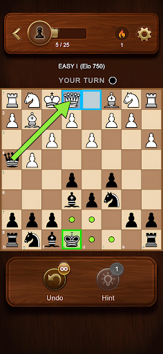 Chess Master: Board Game Screenshot 4