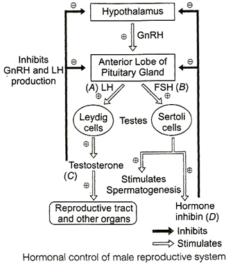 Solution Image