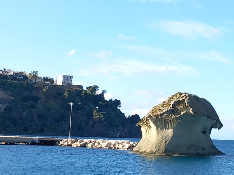 Ischia il fungo lacco Dameno Casamicciola    di archiviobesozzi