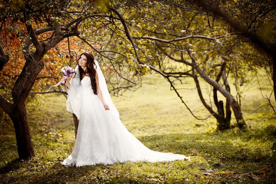 Photographe de mariage Aleksandra Romanchenko (photo2012). Photo du 23 mai 2022