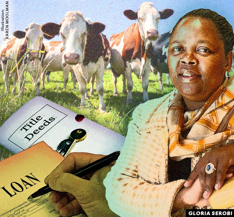 The major hurdle when applying for finance as commercial farmers, is the lack of title deeds for the land. This compounds the dispute as to who actually ownes the land, even when it has been sitting barren and unploughed for years. Illustration: KAREN MOOLMAN