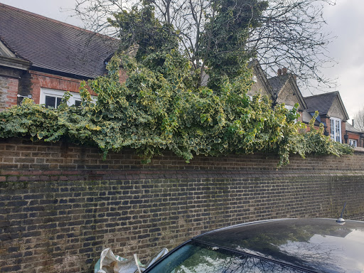Hedging