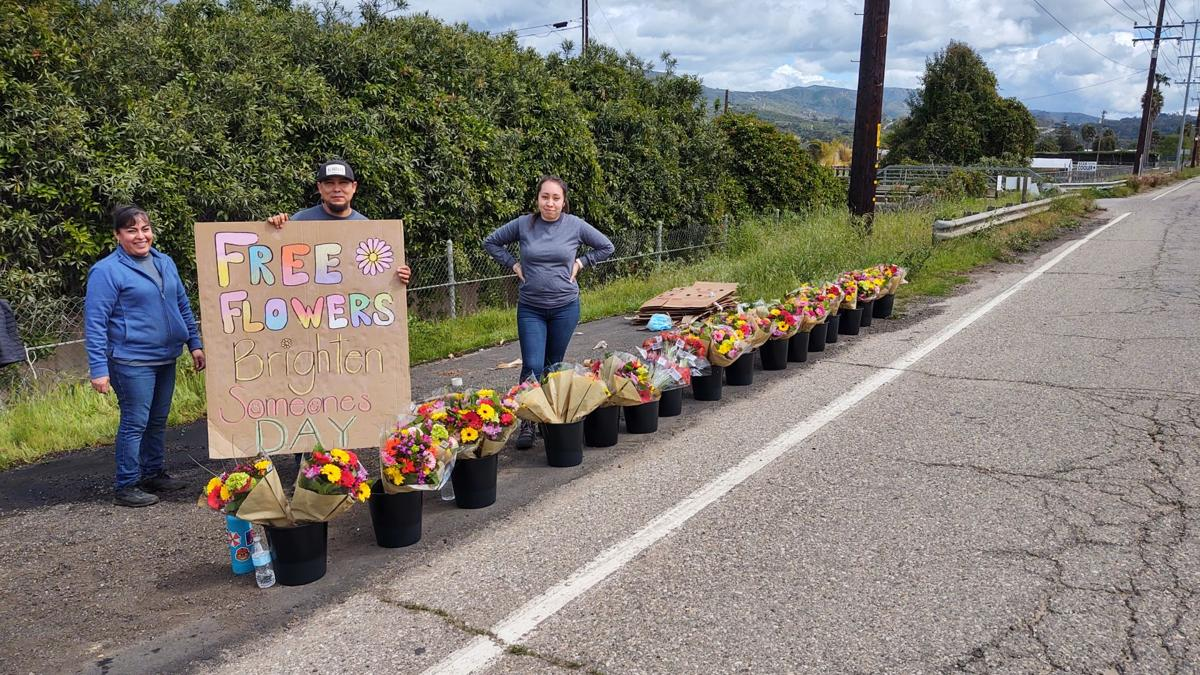 free flowers from florists