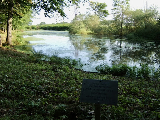 Jagdschloß zu Hohen Niendorf/ bei Kühlungsborn