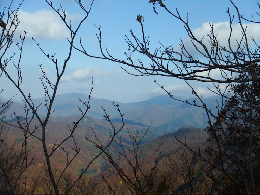 北側の展望（道斉山、堂ヶ辻山など）