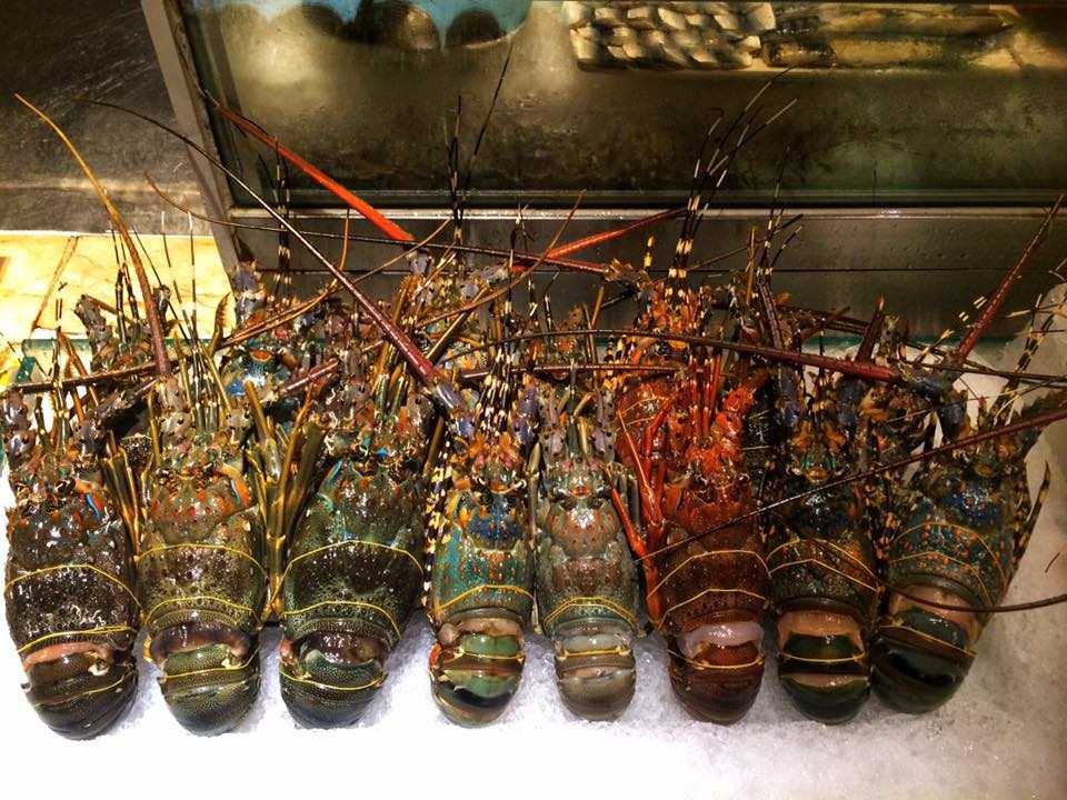 Không gian tuyệt vời để thưởng thức buffet hải sản tôm hùm Tp.HCM