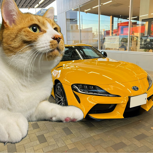 田原のプロフィール画像