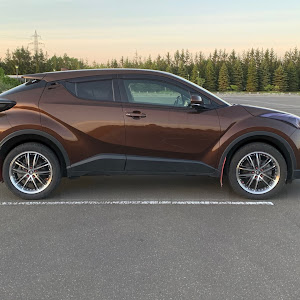 C-HR NGX50