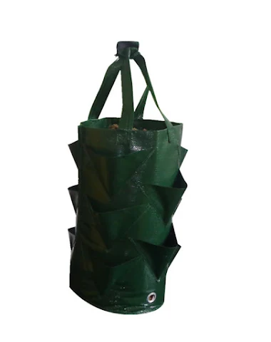 Aerial Gardening Planting Moisturiz - 3