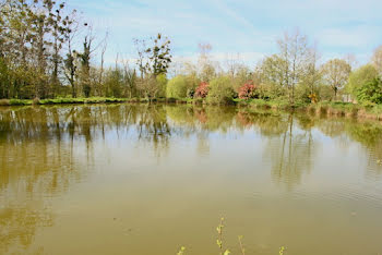 terrain à Luitré (35)