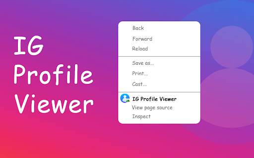 IG Profile Viewer