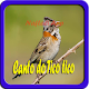 Download Canto do Tico tico NEW For PC Windows and Mac 1.0